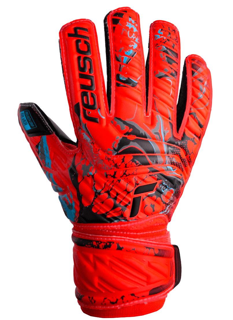 Immagine 2023-05-15 092618