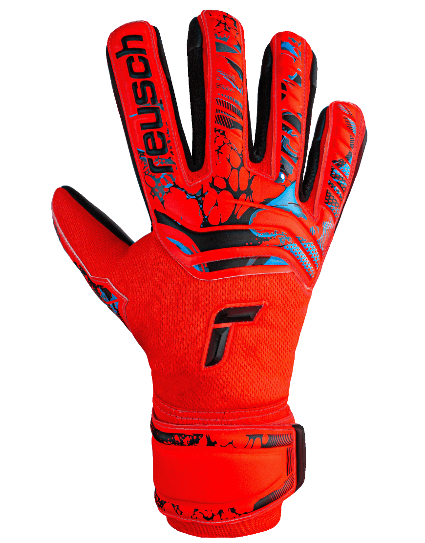 Immagine 2023-05-15 102615